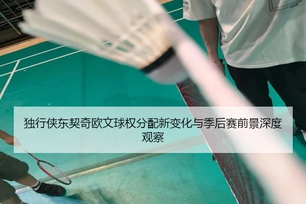 独行侠东契奇欧文球权分配新变化与季后赛前景深度观察